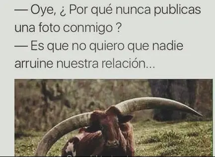 imagenes divertidas