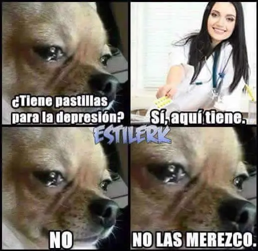 imagenes divertidas