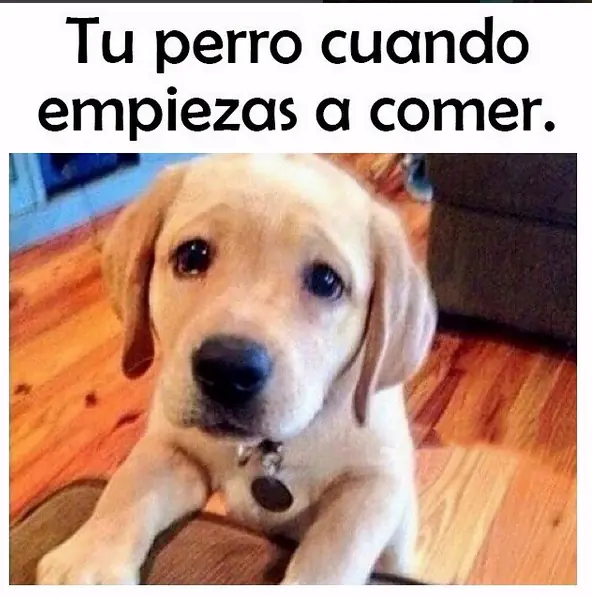 humor