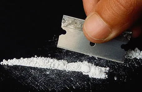 Escondían cocaína en los árboles y acabaron presos