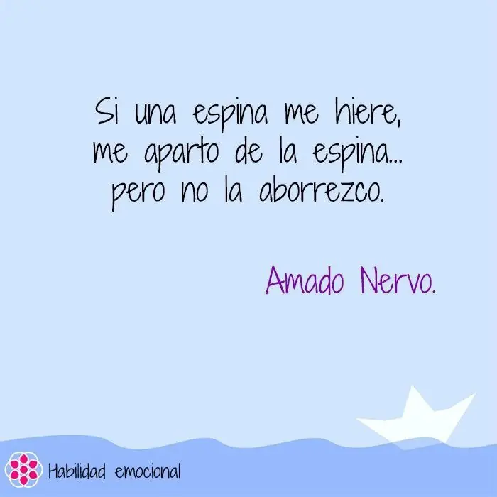 nervo nervo