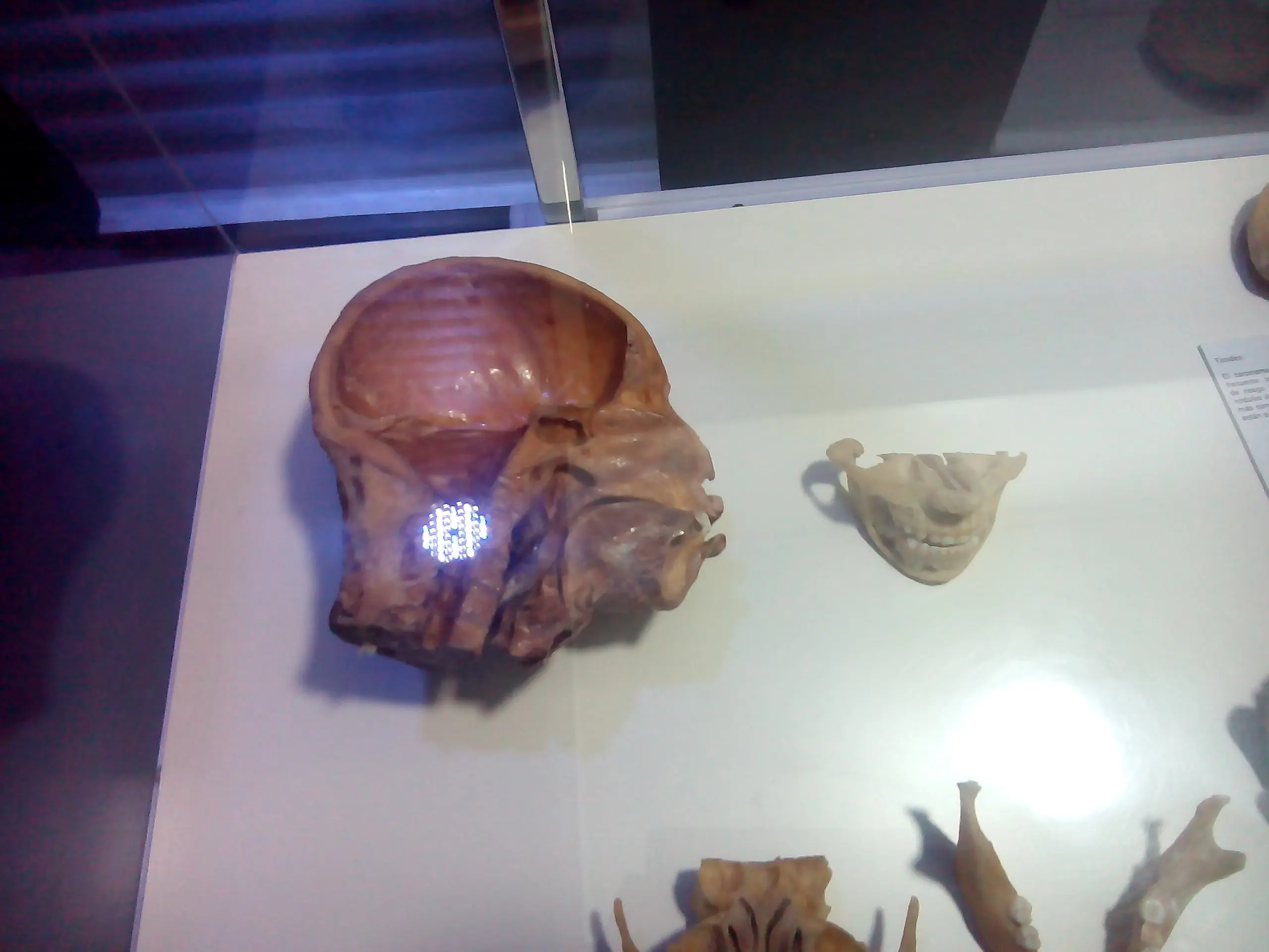 exposicion exposicion