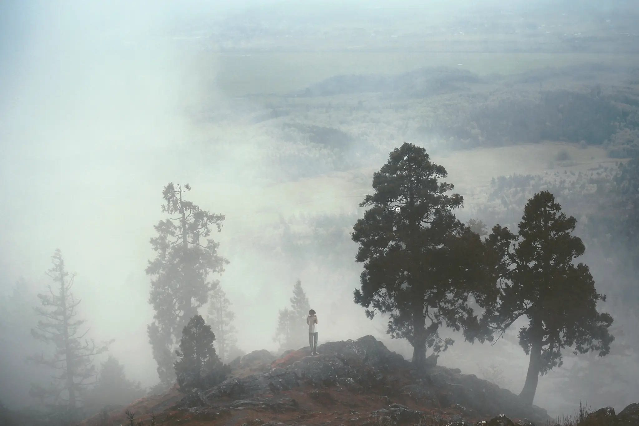 Verdad Verdad