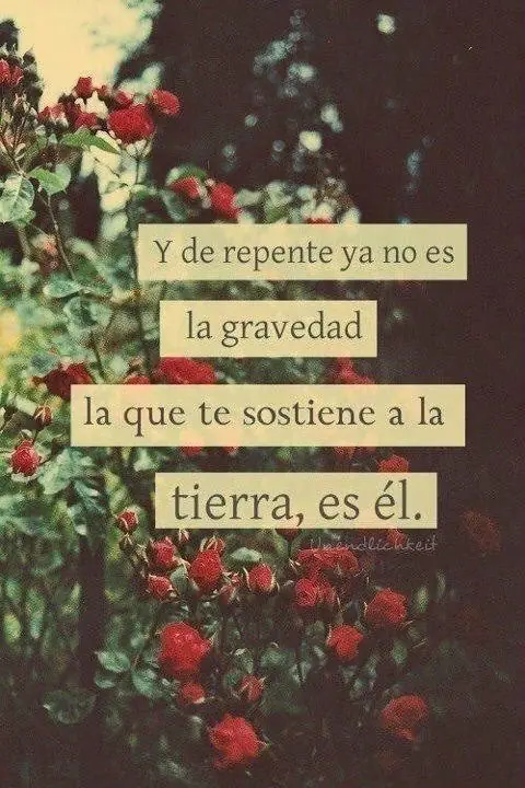 frases frases