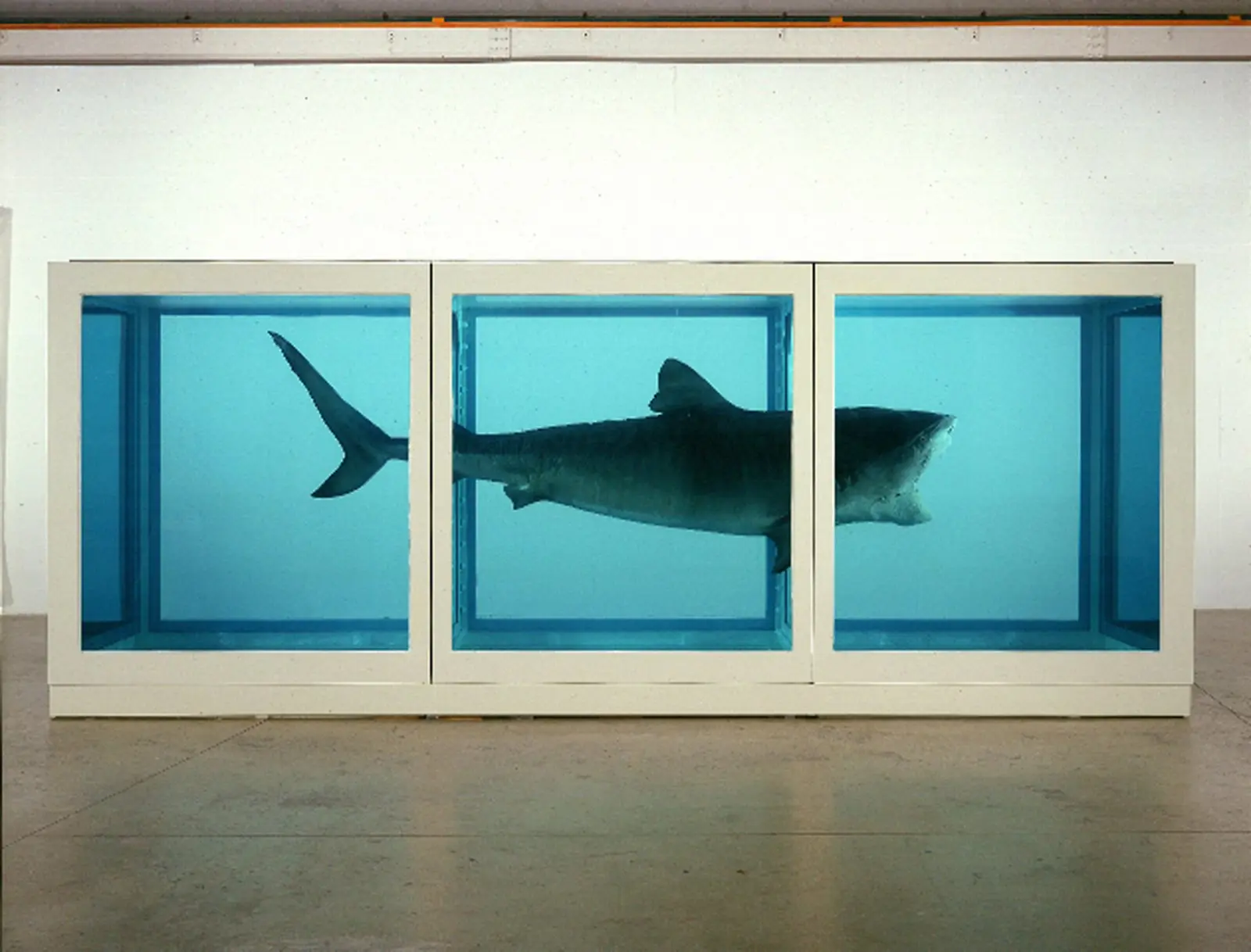 El increíble tiburón de Hirst