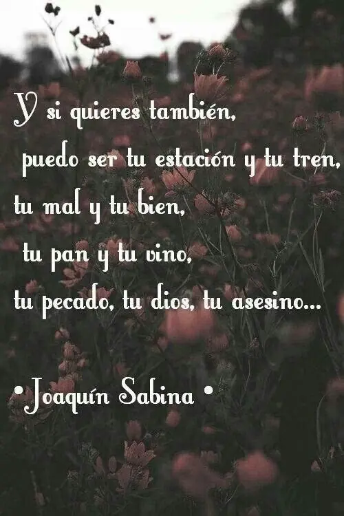 desamor desamor