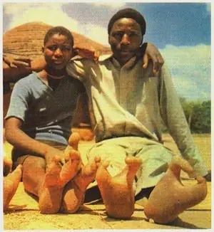 indigenas