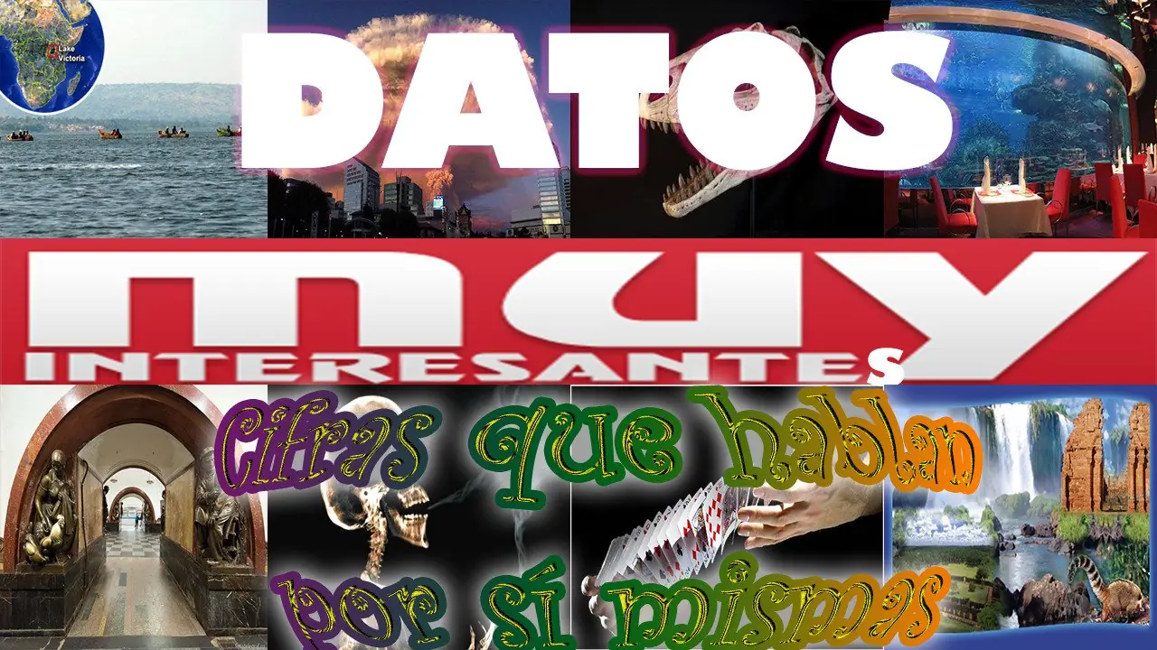 datos interesantes datos interesantes