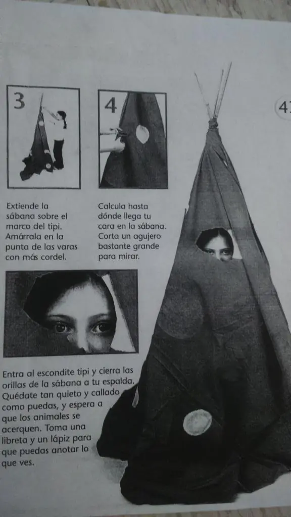taringa