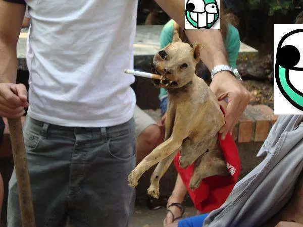 MUERTO