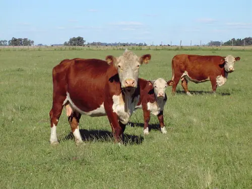 ¿Es La Pampa la peor y más aburrida Provincia del País?
