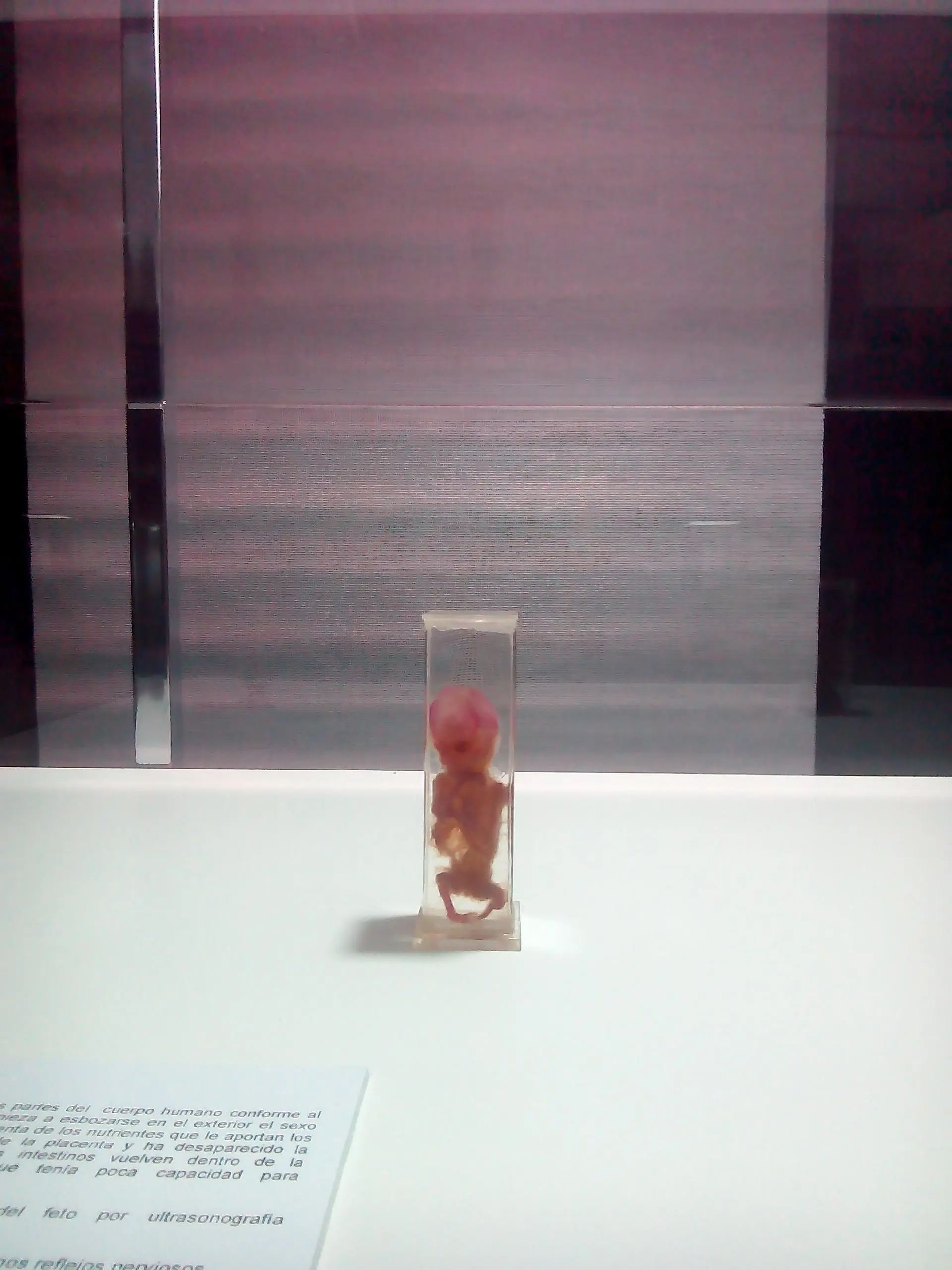 exposicion exposicion