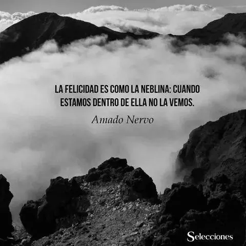 frases frases