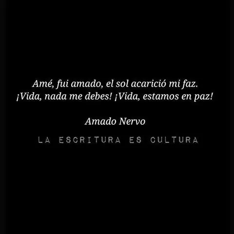 amado amado