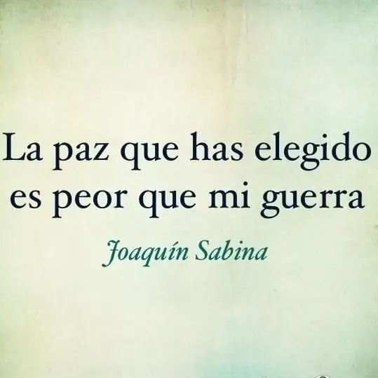 amor amor
