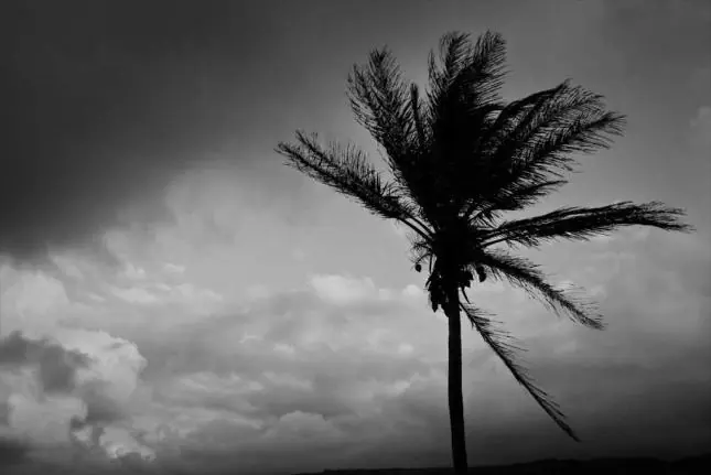 Te explico el fenómeno de El Niño
