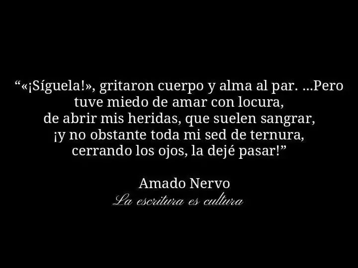 poesia poesia