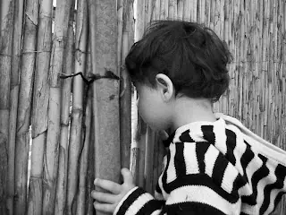 pensamientos