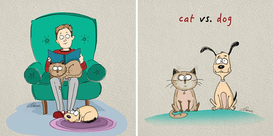 perros vs gatos