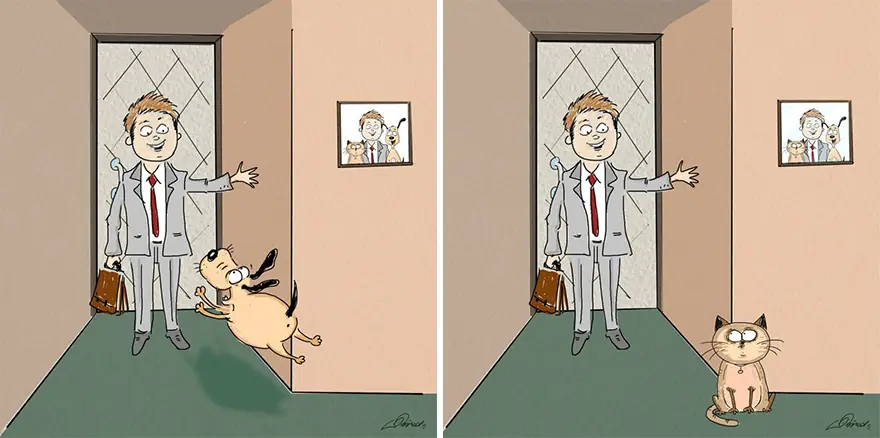 humor