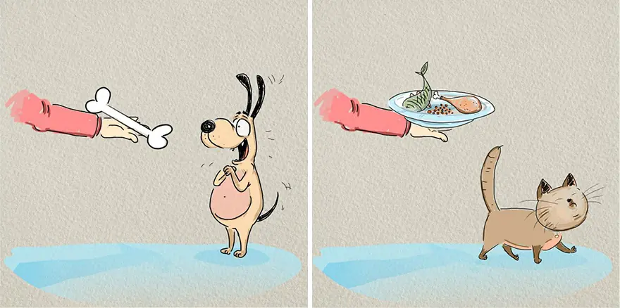 ilustraciones