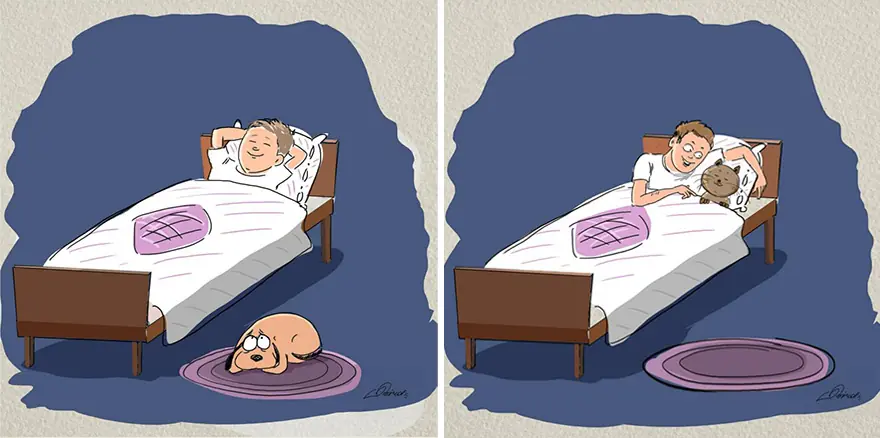 Diferencias entre Perros y gatos en 6 geniales ilustraciones