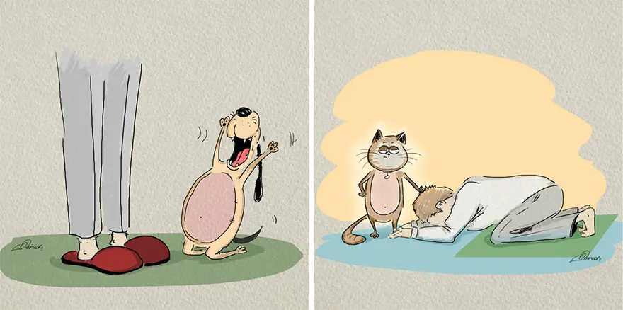 perros vs gatos