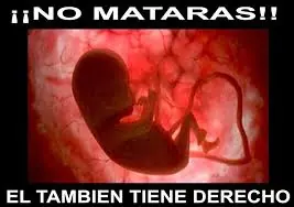 vida vida