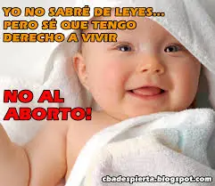 aborto aborto