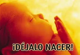 feto feto