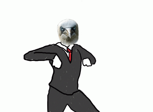 Te gustan los animales? Pasa!