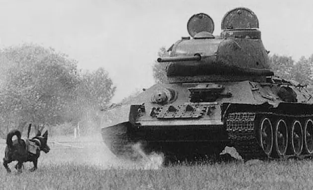 segunda guerra mundial segunda guerra mundial