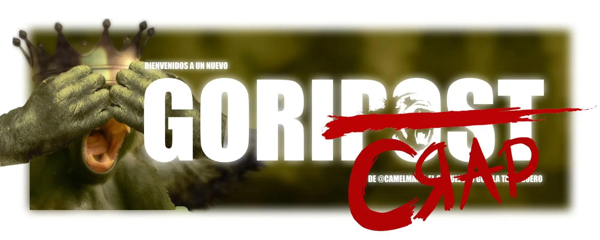 Mi primer T! at Nite! lleno de gifs de Gordas, vení!