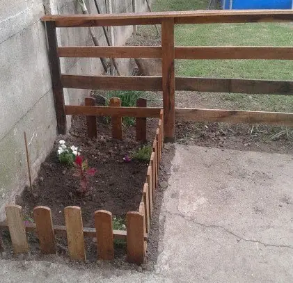 flores