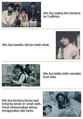 el diario de aya kitou