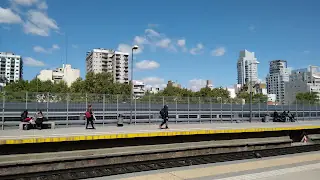 asesinato
