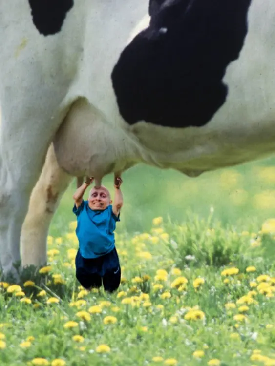 Verne Troyer