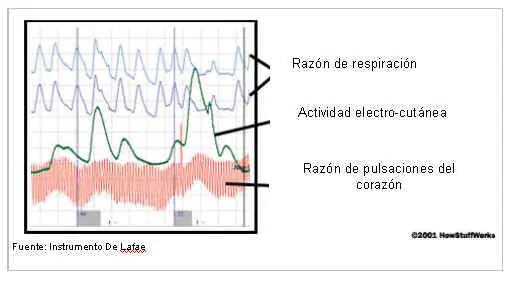 polígrafo