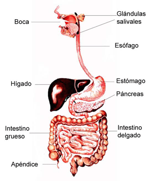 SENCILLO