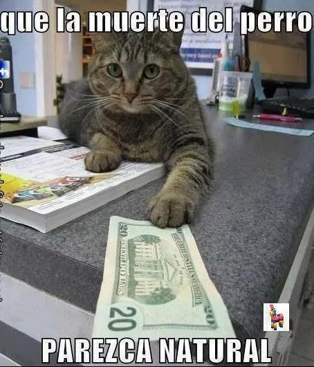 Entra y reite un toque ®