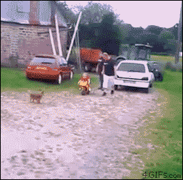 Los Gifs mas Divertidos pasa que te saco una Sonrisa 52º