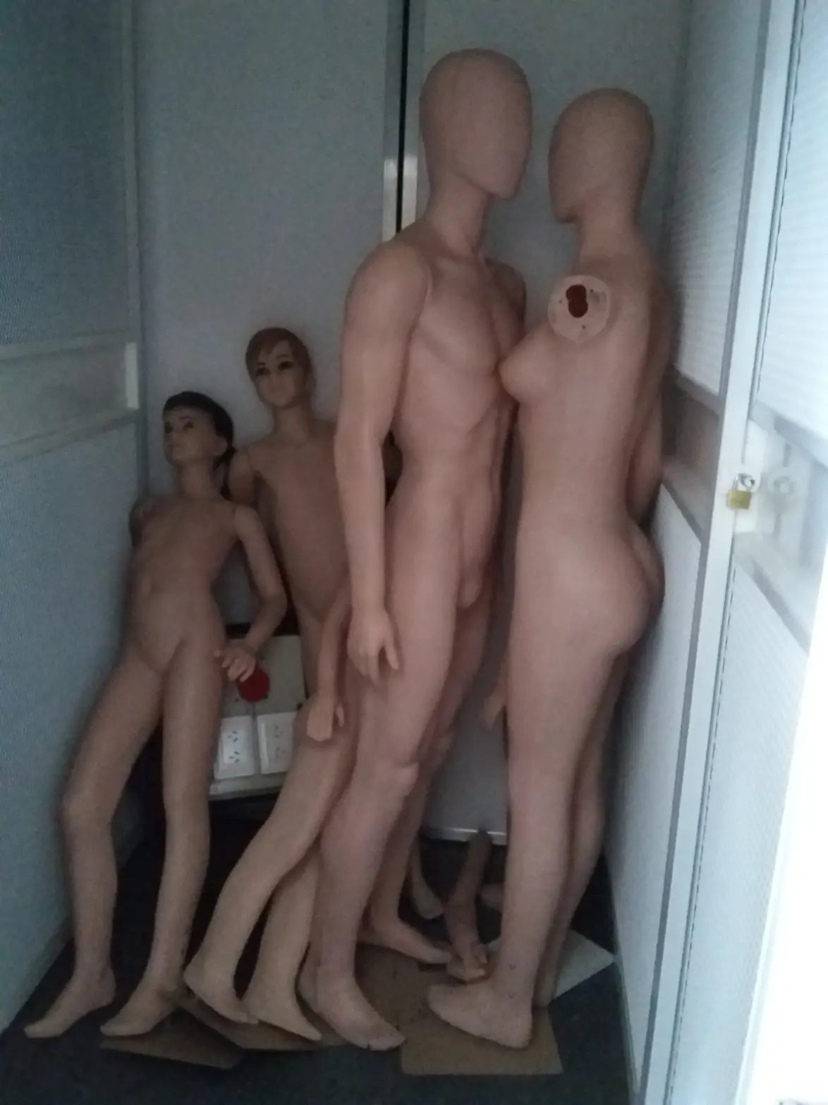 formacion profesional