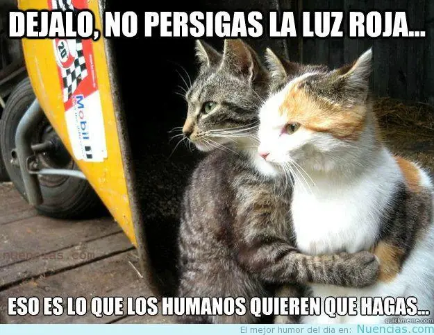 desmotivaciones