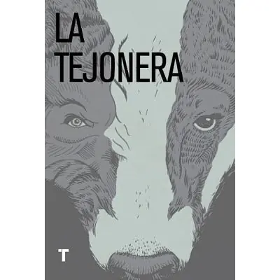 endacion endacion
