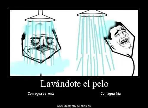 suey