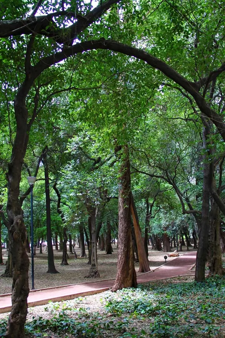 polanco