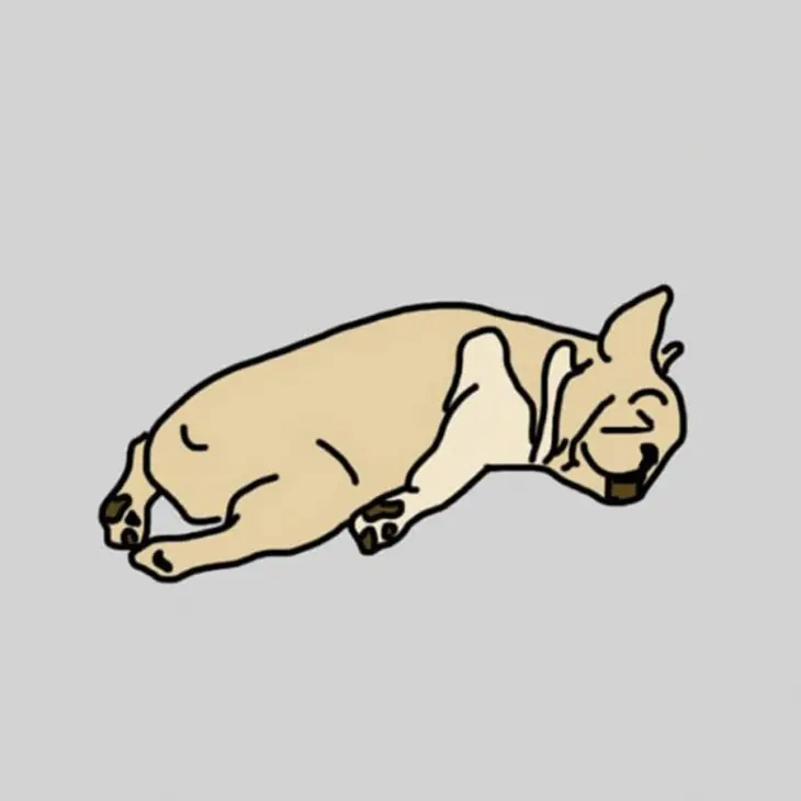 6 formas d dormir d tu perro dicen su personalidad.