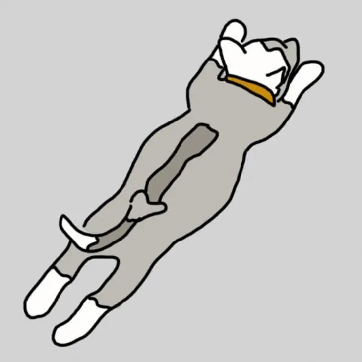 dormir