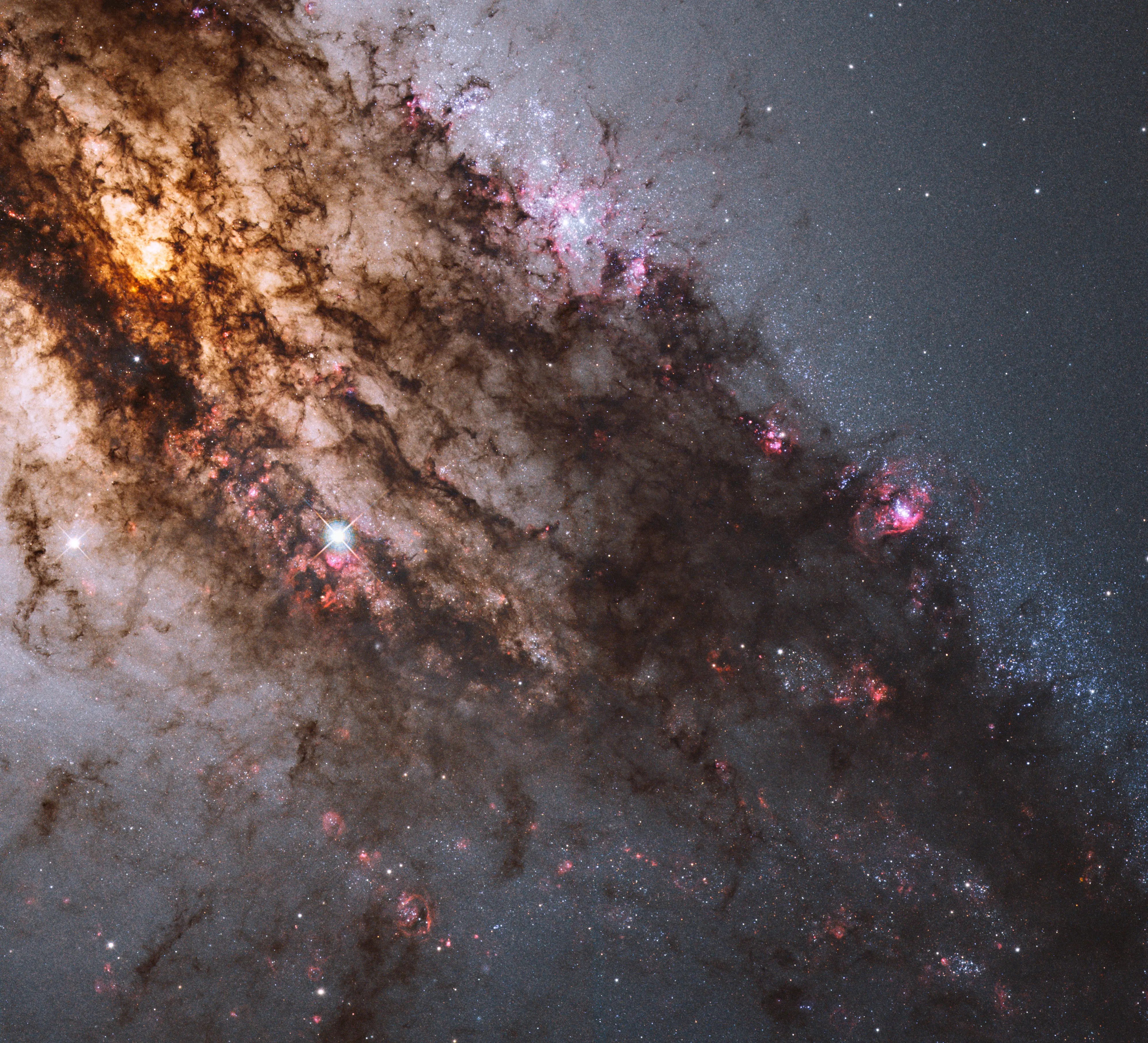 cosmos