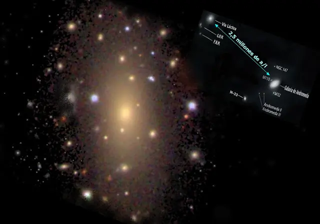 cosmos